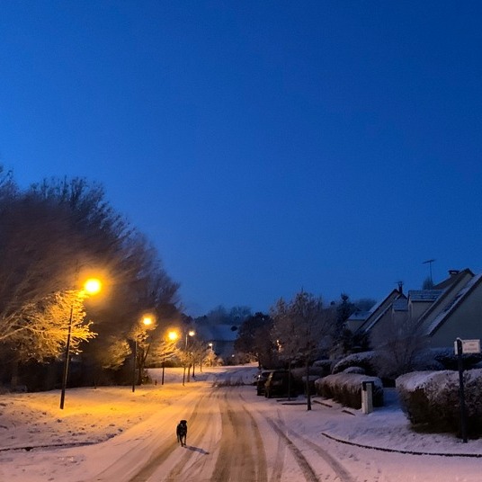 611333936 1175847468001772 6695303548350041228 n